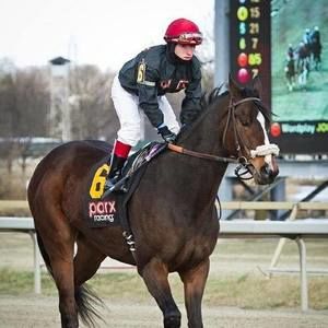 Meet your Posher, Jorge